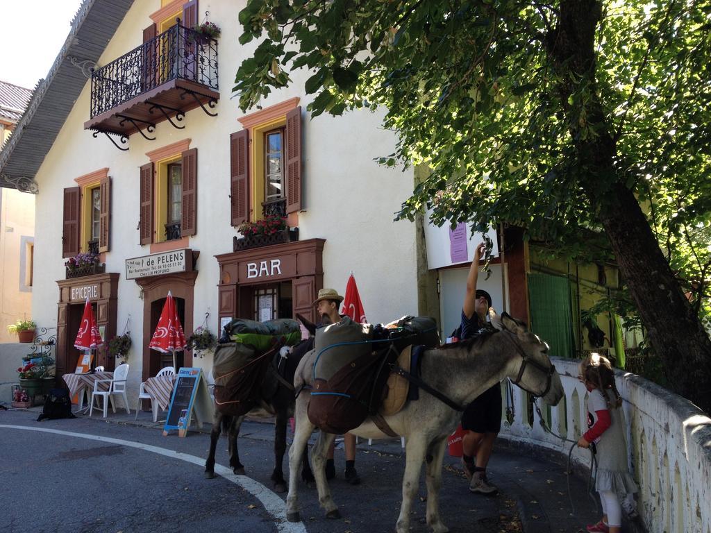 Gite Le Pelens Saint-Martin-d'Entraunes ภายนอก รูปภาพ